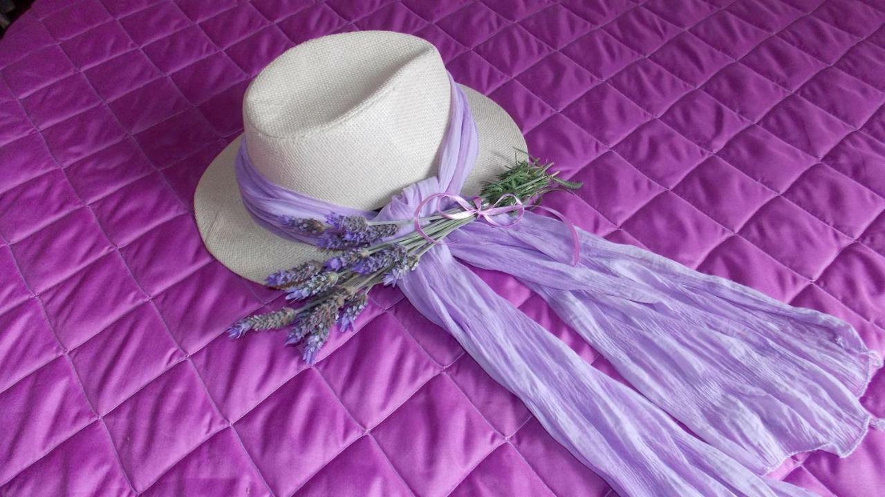 Lavender House Country house